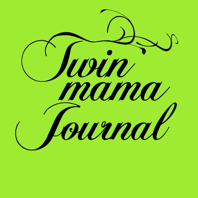 Twin Mama's Journal